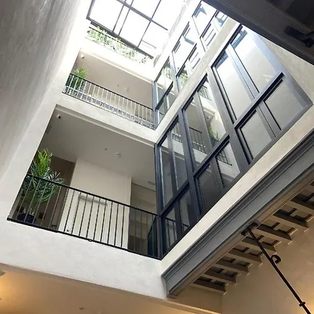 Oma * Cadiz